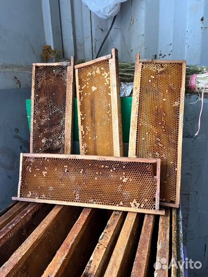 Корпусы + рамки с сушью