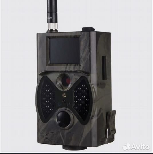 Фотоловушка филин