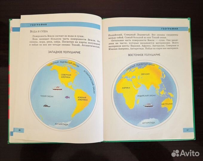 Тайны живой природы росмэн, Повышаем интеллект