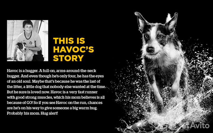 Корм GO Solutions для щенков и собак, со свежей у