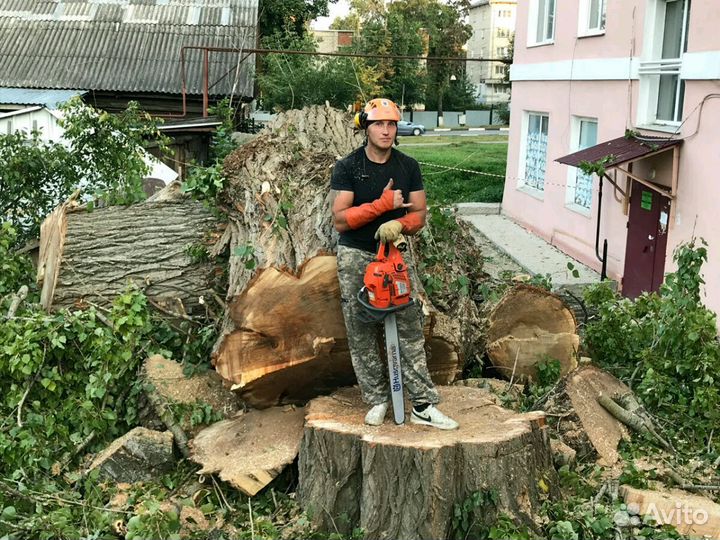 Удаление деревьев
