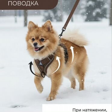 Шлейка для собаки