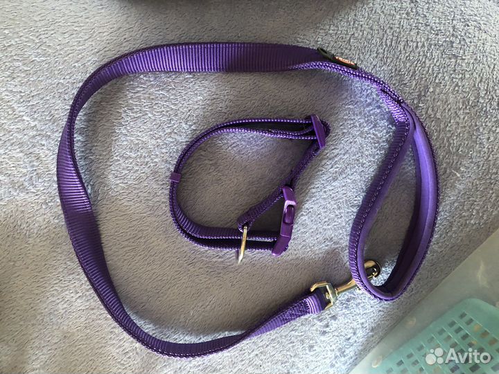 Товары для животных