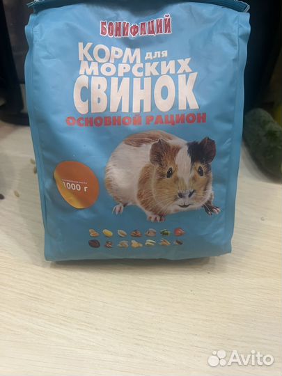 Корм для морских свинок