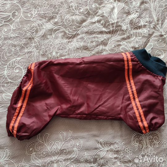 Комбинезон для собаки ввз