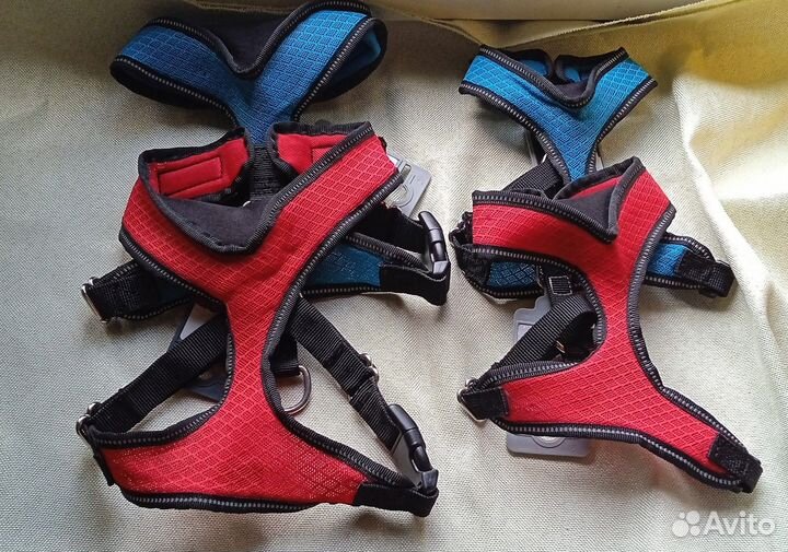 Ошейники/шлейки/намордники