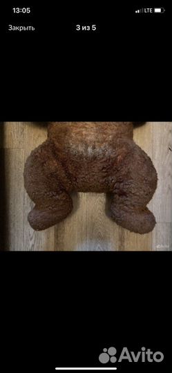 Опилковый медведь СССР