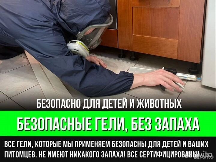 Травля тараканов. Уничтожение клопов. Дезинфекция