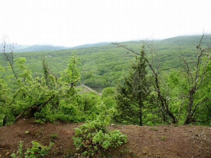 Участок 1,75 га (СНТ, ДНП)