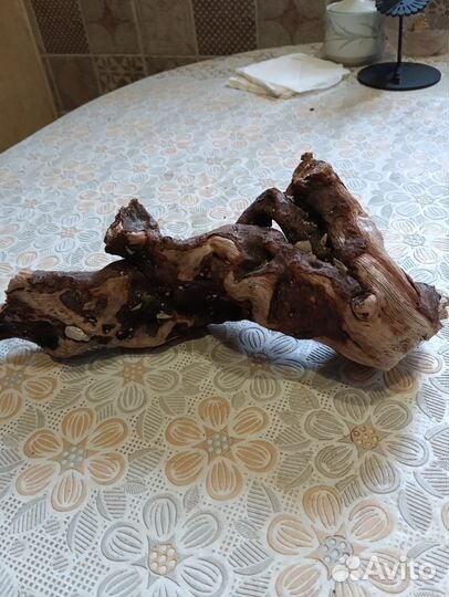 Коряги дрифтвуд