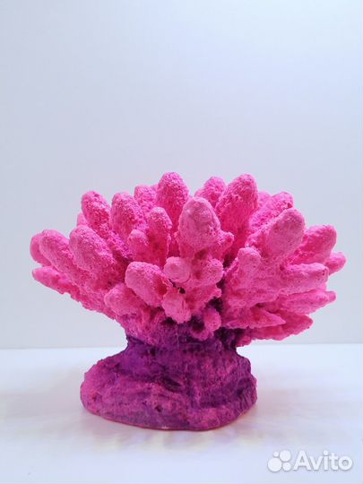 Коралловые декорации - Аквасалон Дискус