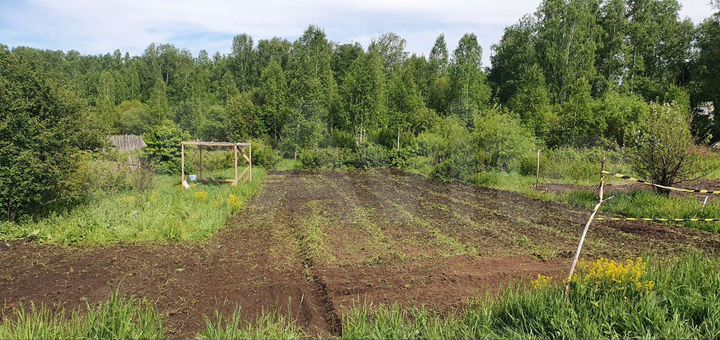 Участок 8,1 сот. (СНТ, ДНП)