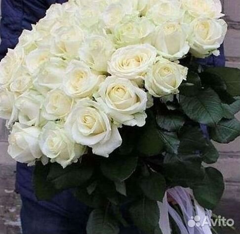 Высокие розы Гигантские Розы 150 160 170 180 190см