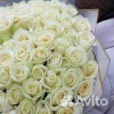 101 роза 51 роза 45 85 35 25 21 Букет Доставка