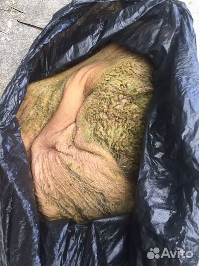 Рубец говяжий