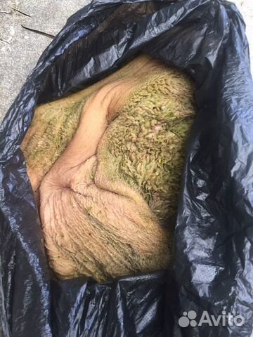 Рубец говяжий