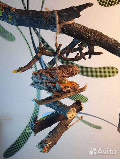 Игрушки для птиц из глины, веток