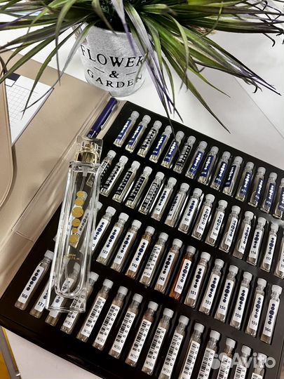 Бесплатно аромадегустация