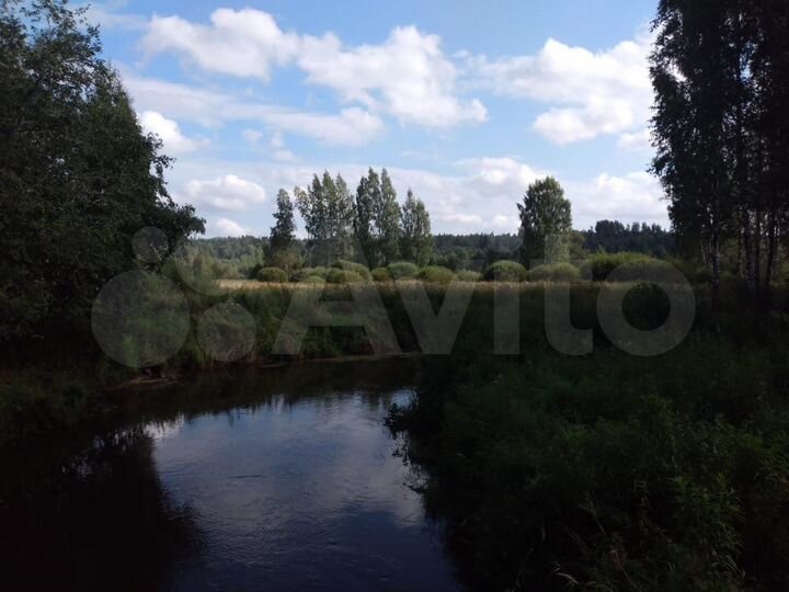 Участок 100 сот. (СНТ, ДНП)