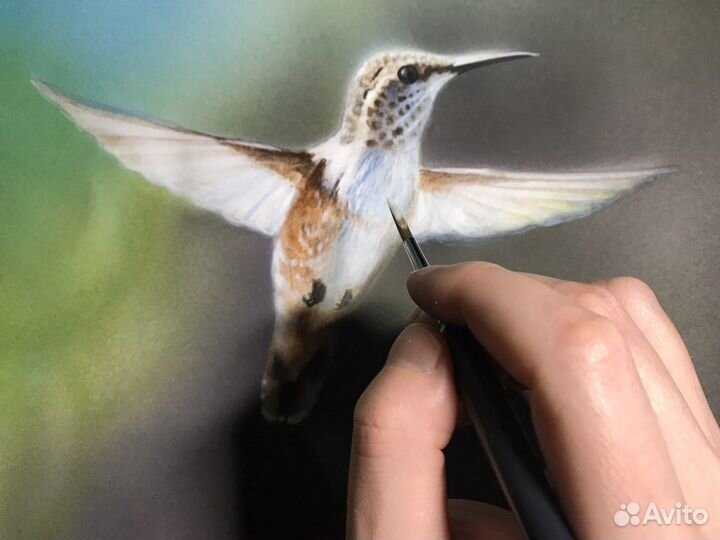 Картина акварель «Колибри»