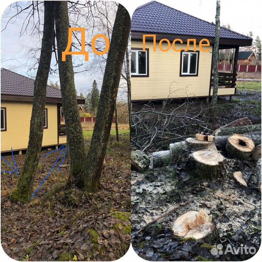 Валка опасных деревьев