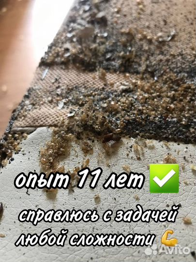 Уничтожение тараканов клопов дезинсекция