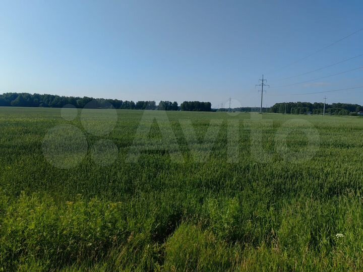 Участок 49,99 га (СНТ, ДНП)