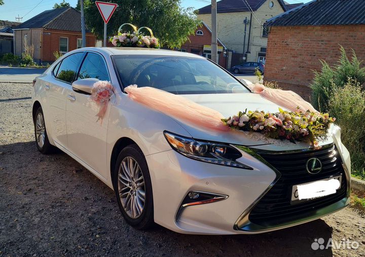 Кольца на машину