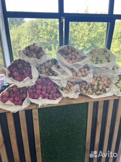 Цветы оптом и в розницу