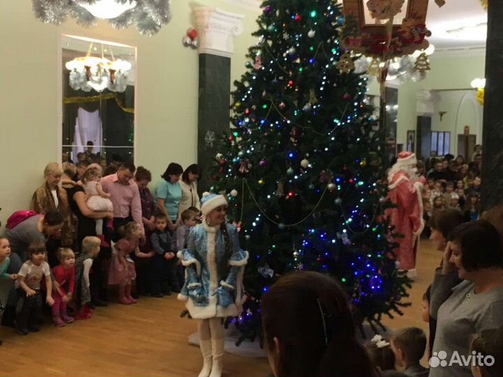 Дед мороз и снегурочка