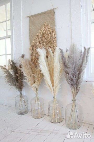 Пампасная трава