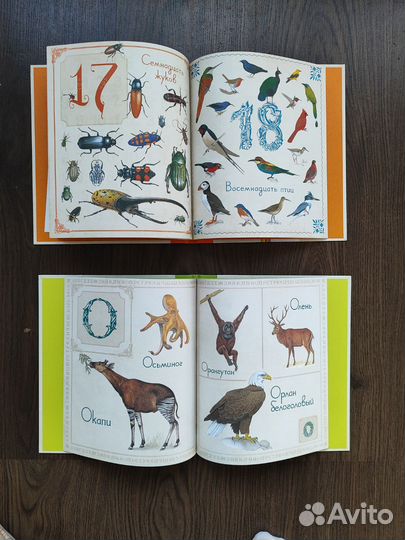 Книги новые (комплект), цена за 4