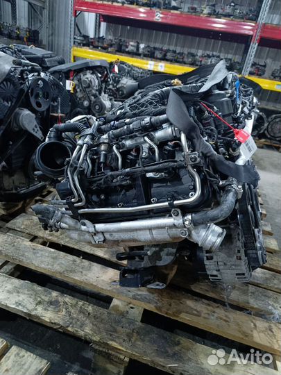 Двигатель Volkswagen Amarok DDX 3.0