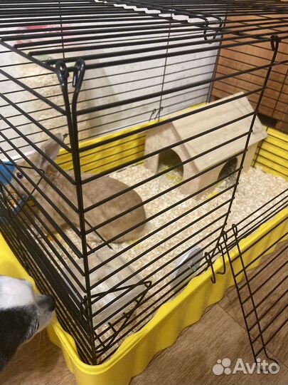 Клетка для грызунов