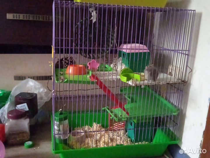 Клетка для хомяка