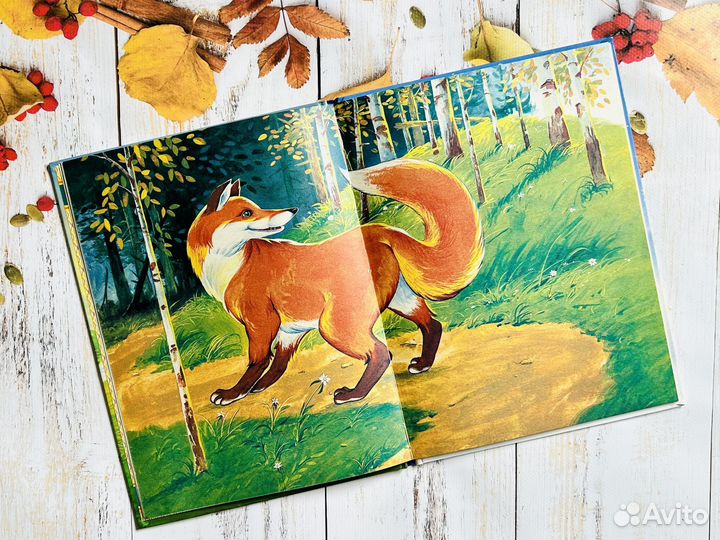 Теремок мухи. Русская народная сказка