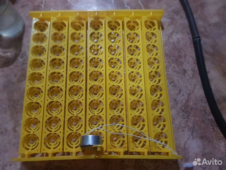 Инкубатор для яиц