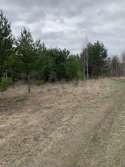 Участок 6,11 га (СНТ, ДНП)