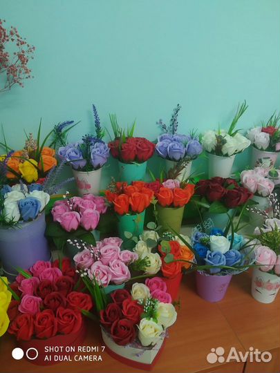 Флористика