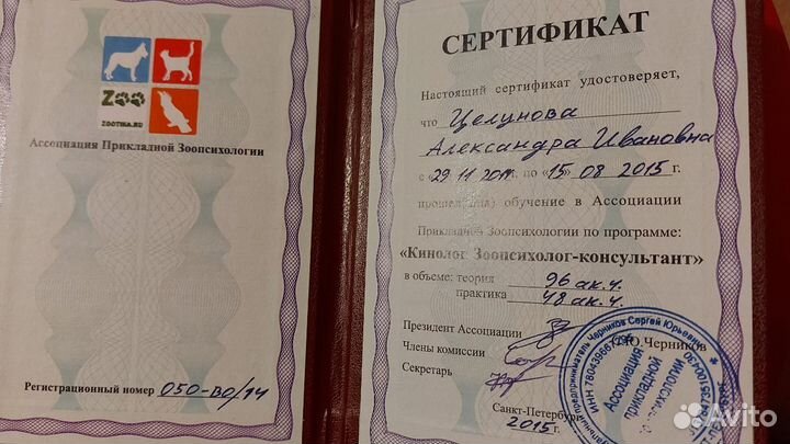 Кинолог / Специалист по поведению собак
