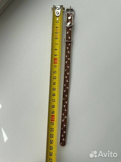 Ошейник для маленькой собаки