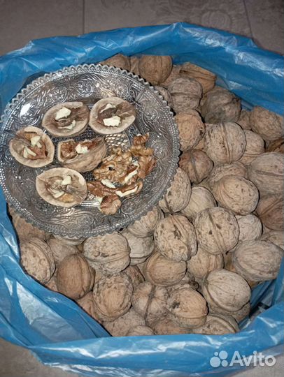 Грецкий орех