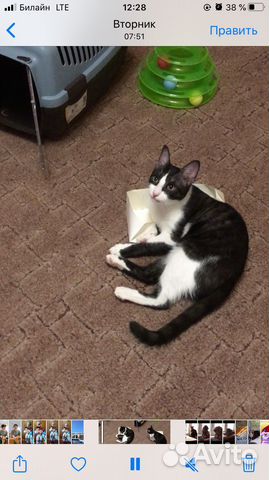 В ответственные руки