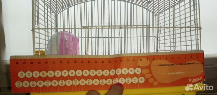 Клетка для джунгарского хомяка