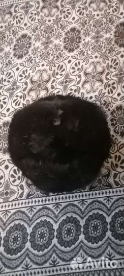 Норковая шапка мужская