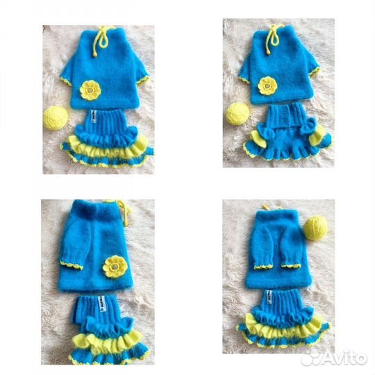 Одежда для собак