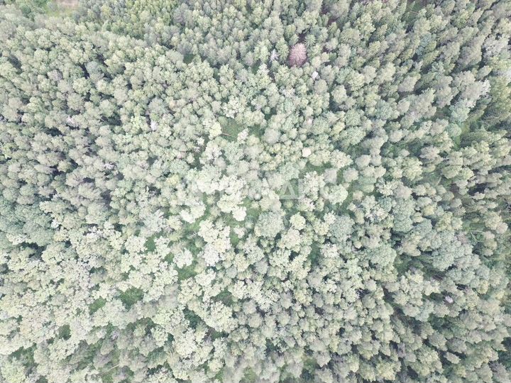 Участок 7,5 сот. (личное подсобное хозяйство (лпх))