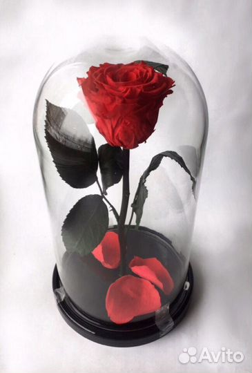 Вечная роза в колбе