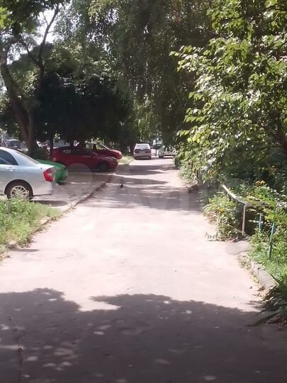 2-к. квартира, 42,9 м², 4/5 эт.