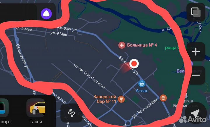 Выгул собак